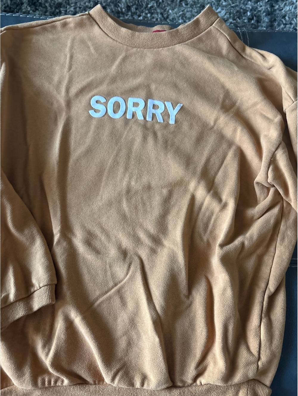 Woman’s sorry sweatshirt sz large